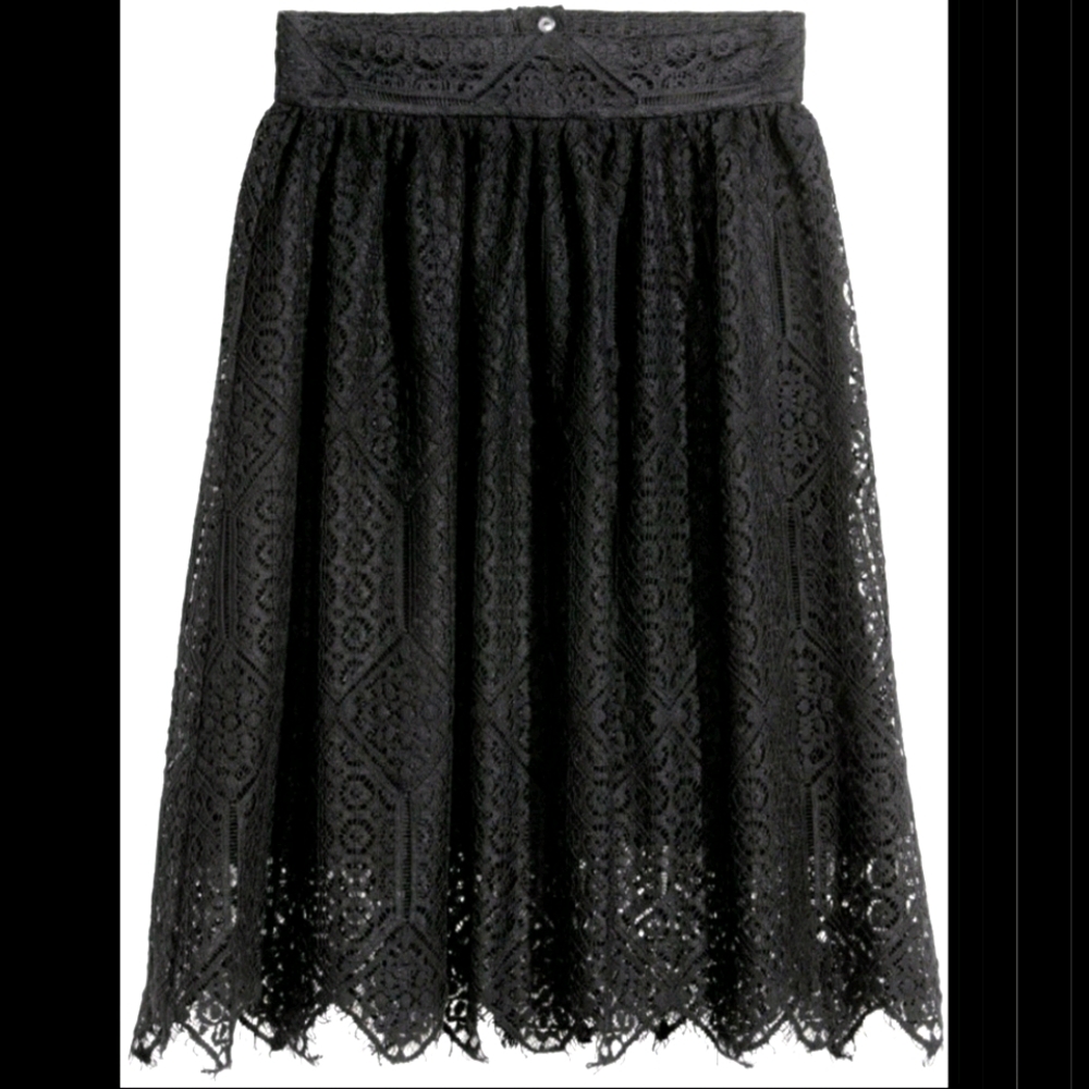 NWOT H&M pleated lace skirt